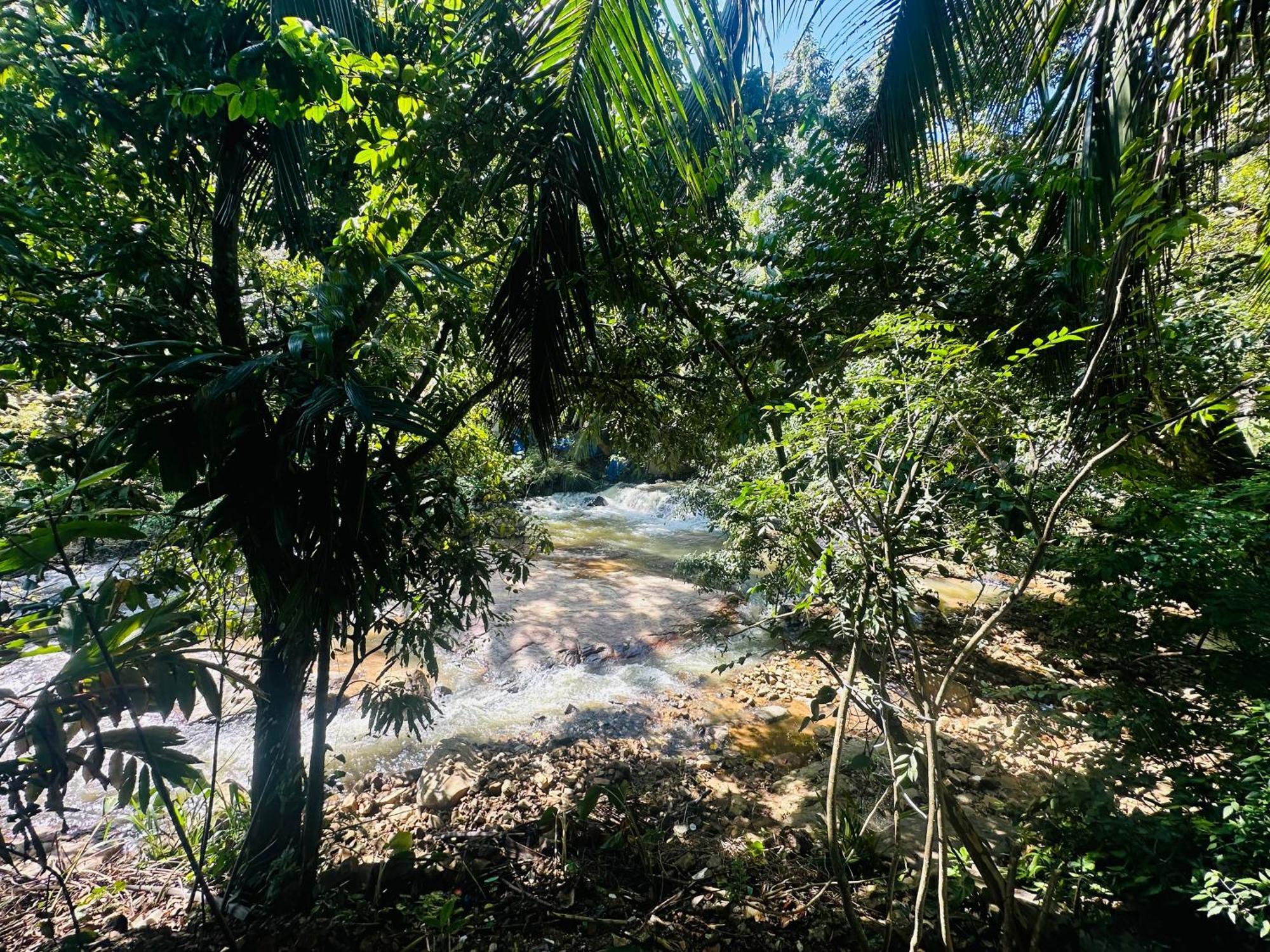 River Splendour Home Stay Ella Ngoại thất bức ảnh