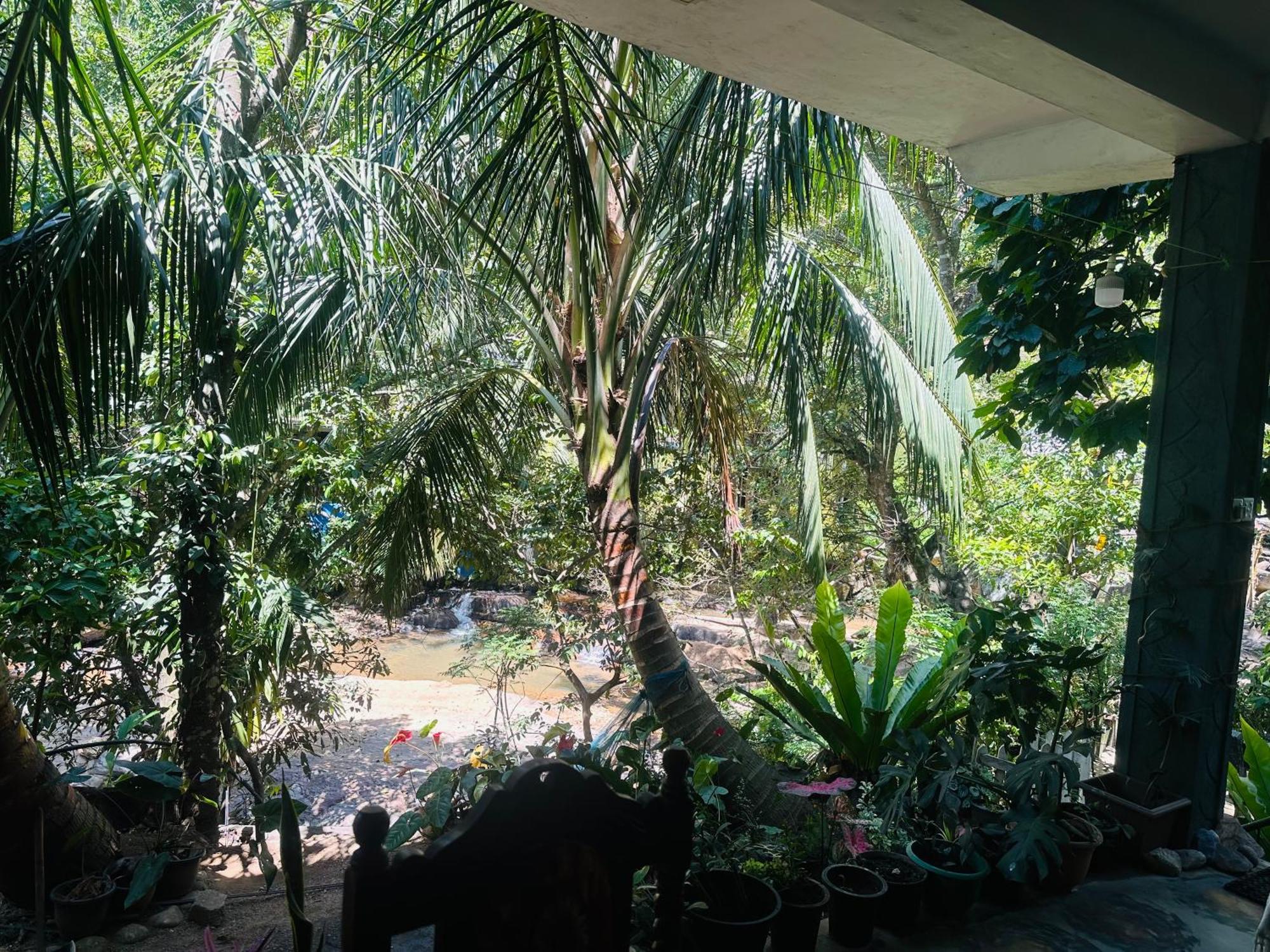 River Splendour Home Stay Ella Ngoại thất bức ảnh
