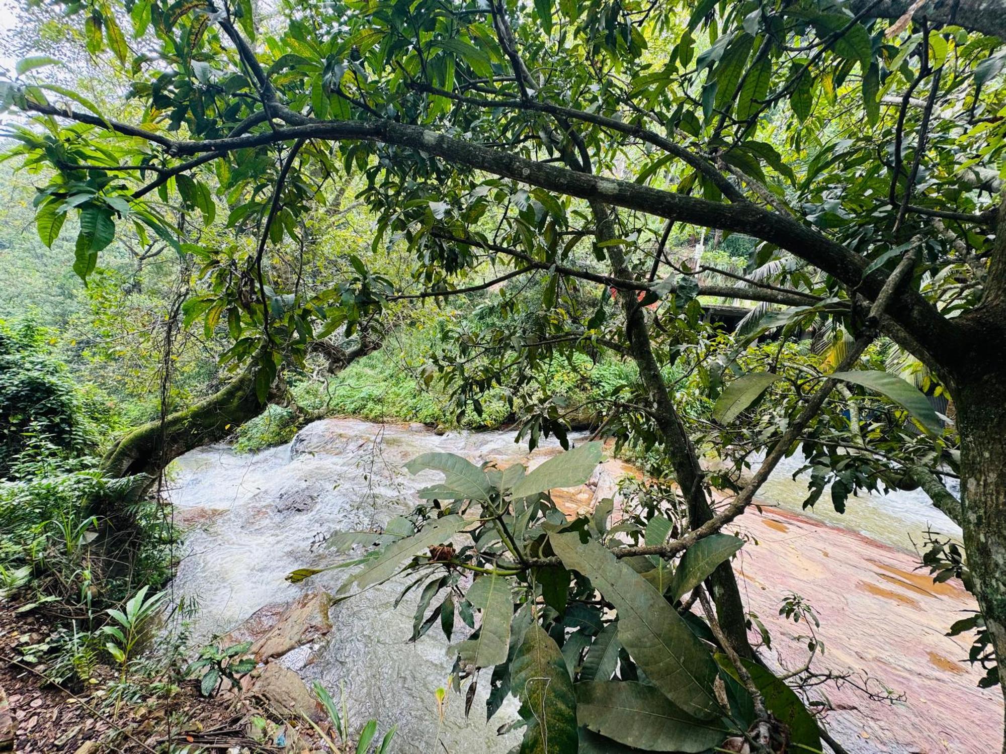 River Splendour Home Stay Ella Ngoại thất bức ảnh